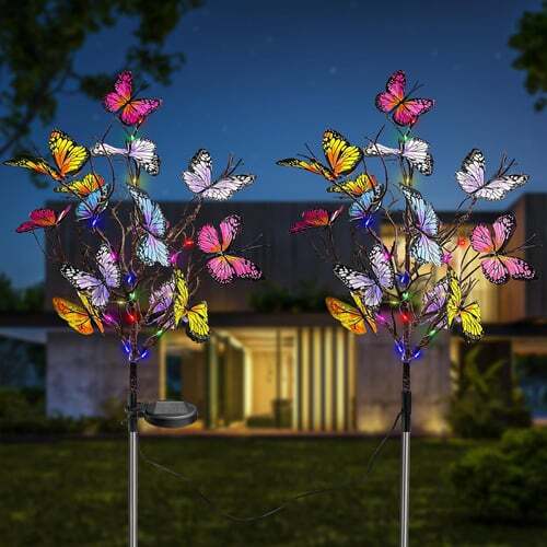 Illuminate Outdoor Beauty